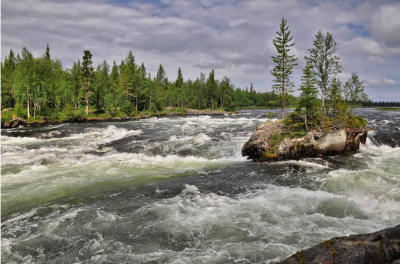 Флора бурных рек